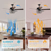 Sleek Breeze Ceiling Fan with Lighting Options