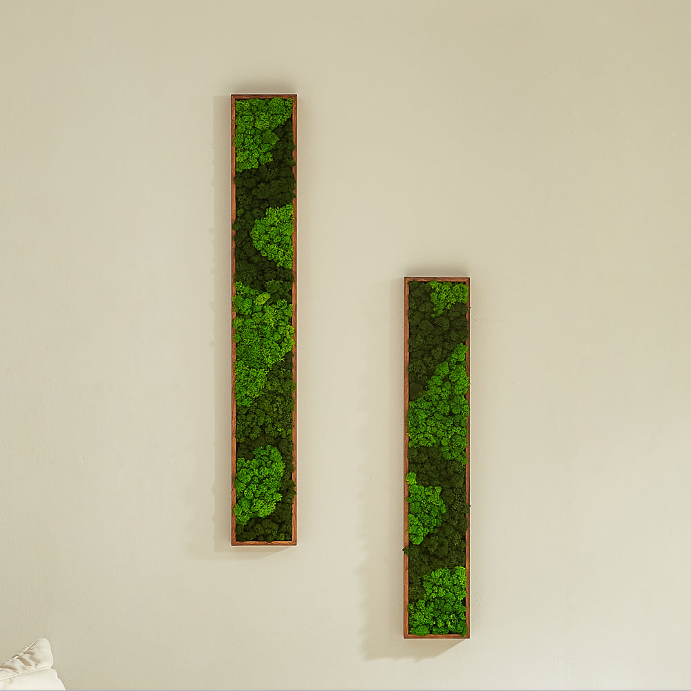 Mossy Wall Bliss