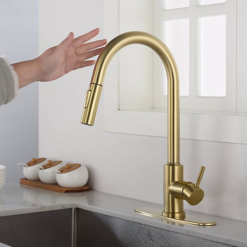 Spry Touch Kitchen Faucet