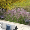 Outsunny Stylish Garden Fence Panels - Rust-Resistant Animal Barrier & Decorative Border for Your Outdoor Spaces