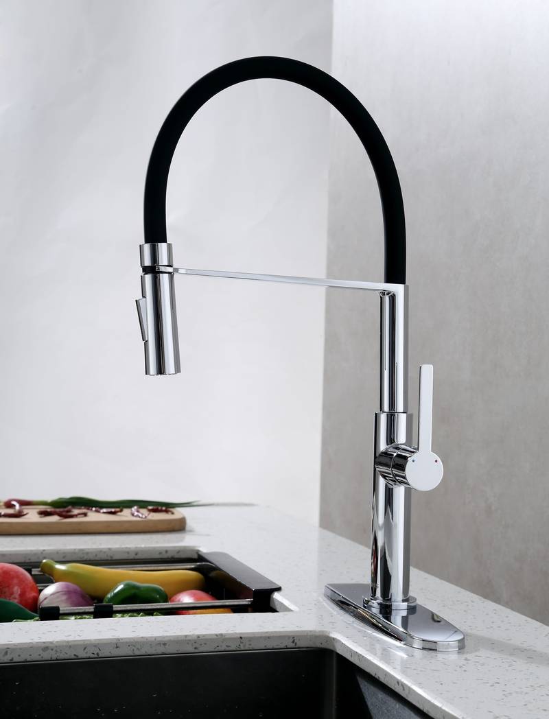 Sleek Pull-Down Kitchen Faucet