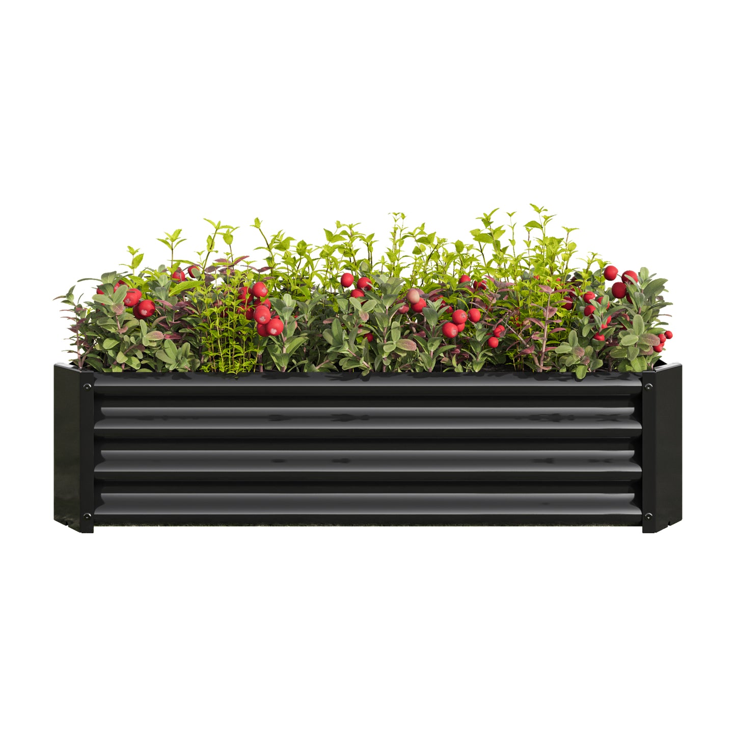 Chic Black Metal Garden Planter for Flowers & Herbs