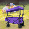 Adventure Wagon: The Ultimate Portable Kids' Trolley