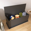 Chic Black Lift-Top Storage Trunk