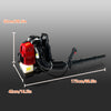 PowerBlaze Backpack Leaf Blower