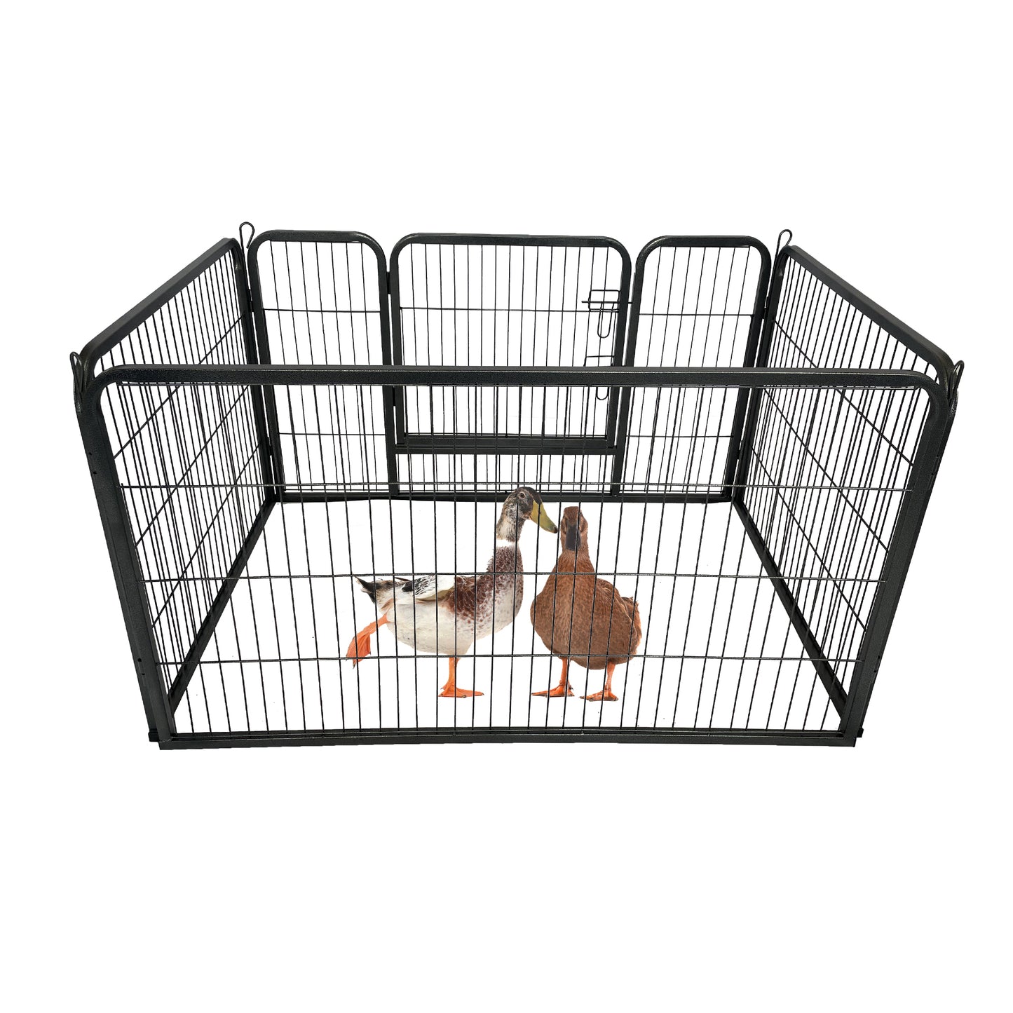 Adventure Dog Playpen