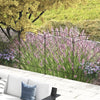 Charming Garden Fence Panels - Rust-Resistant Animal Barrier