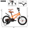 Freestyle Fun Kids Bike with Training Wheels