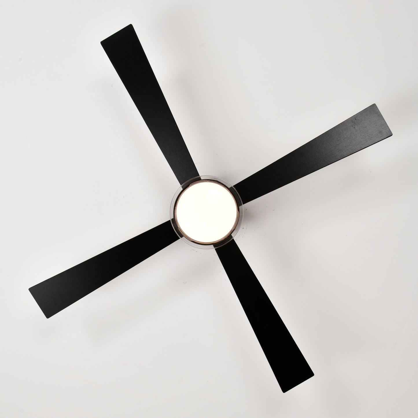 Modern Dimmable Fandelier Ceiling Fan with Remote