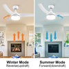 Bright Breeze Indoor Ceiling Fan