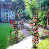 Elegant Garden Arch for Climbing Plants