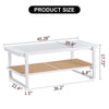 Sleek White Double Layer Coffee Table