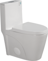 Eco-Friendly Comfort Toilet with Soft Close Seat