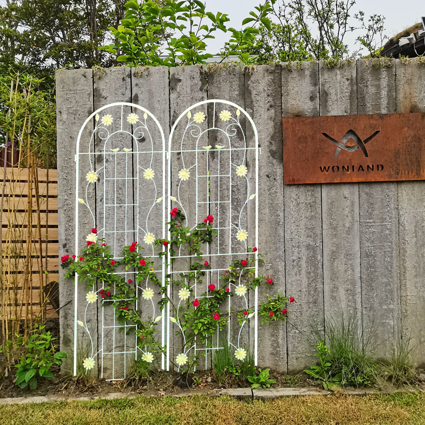 Charming Garden Trellis Set for Climbing Plants