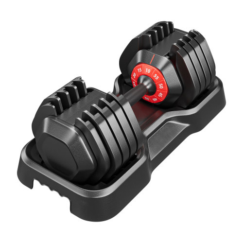 Versatile Adjustable Dumbbells for Full Body Workouts