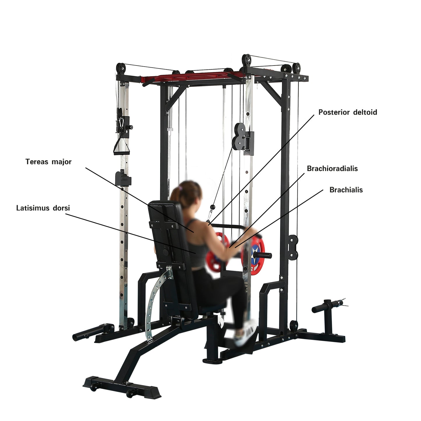 Ultimate Home Gym Power Cage with LAT Pulldown and Weight Storage