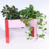 Garden Grow Box: Stylish Elevated Planter for Flowers and Veggies