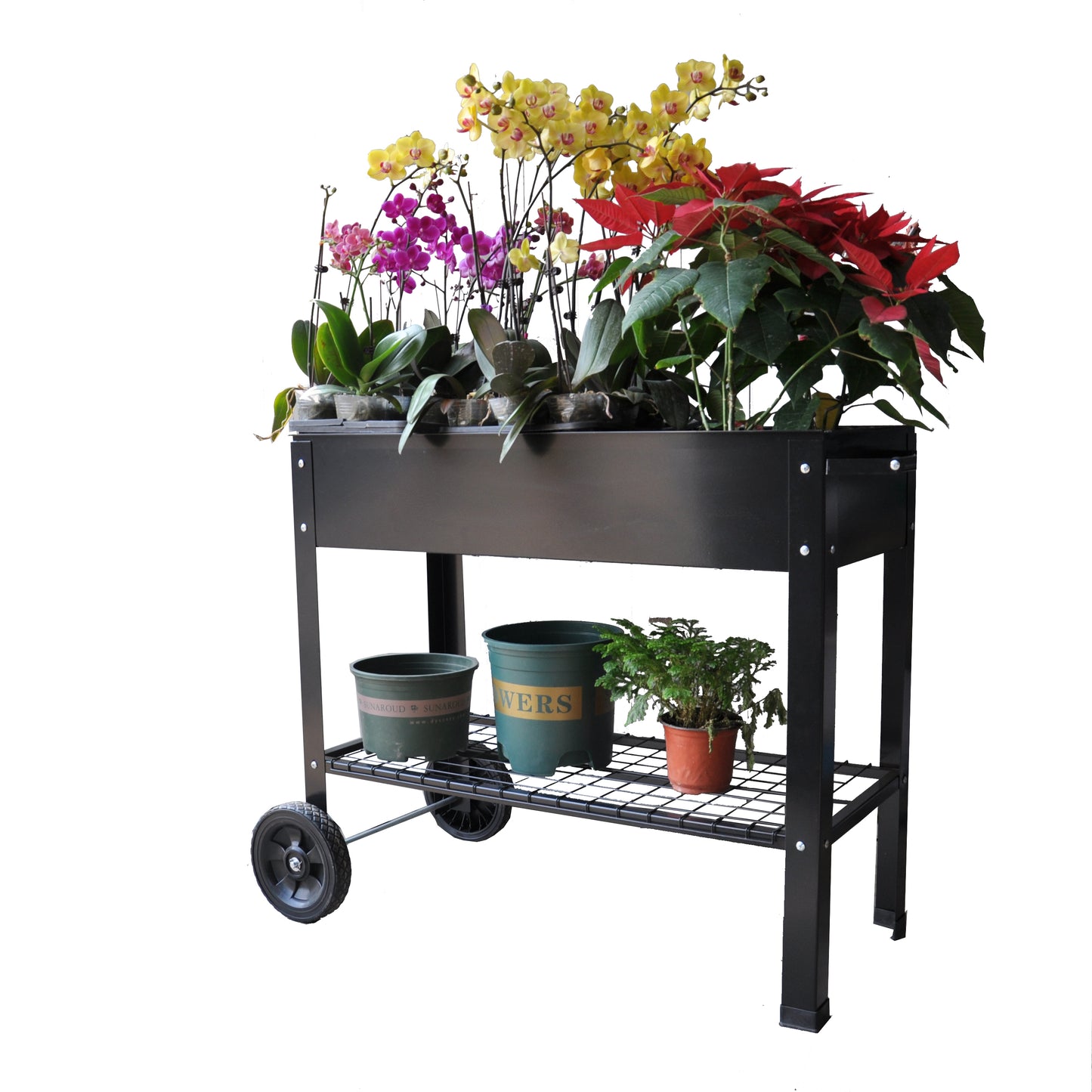 Garden Cart Planter with Wheels - Mobile Elevated Bed for Herbs & Veggies