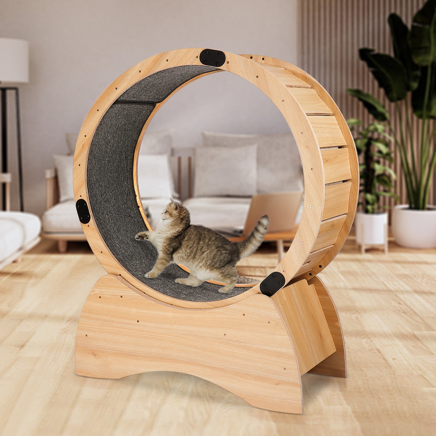 Kitty Fitness Wheel: Fun Treadmill for Active Cats!