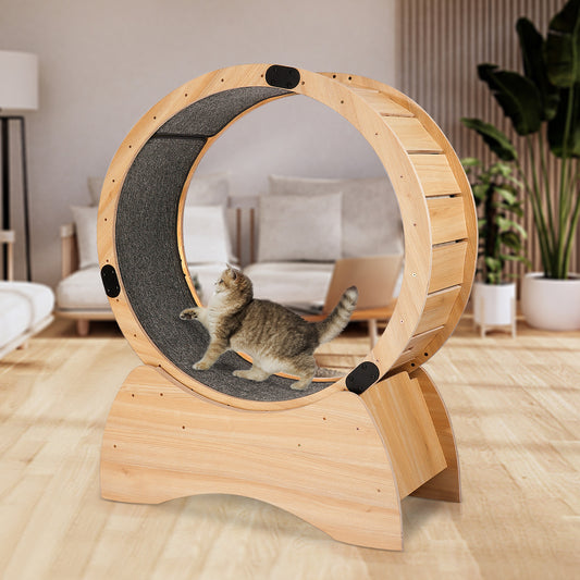 Kitty Fitness Wheel: Fun Treadmill for Active Cats!