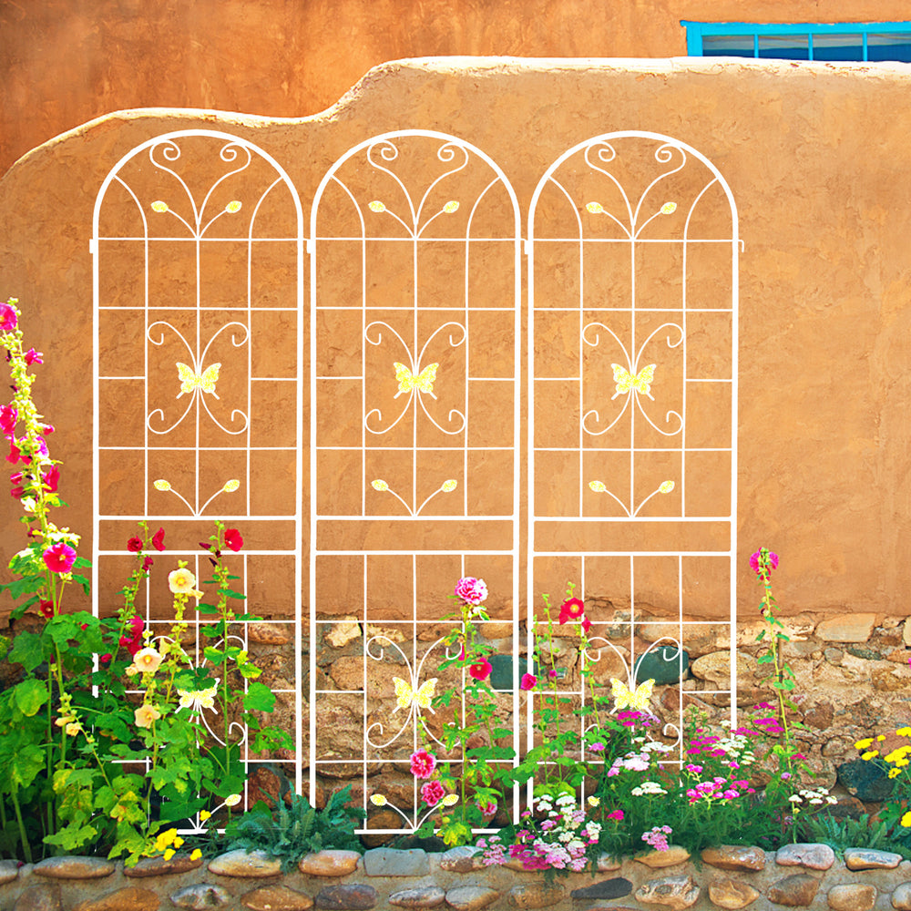 Garden Grace: Rustproof Trellis Duo for Climbing Blooms