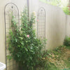 Stylish Rustproof Garden Trellis for Climbing Plants