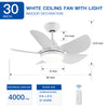 Bright Breeze LED Ceiling Fan