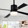 Modern Dimmable Fandelier Ceiling Fan with Remote