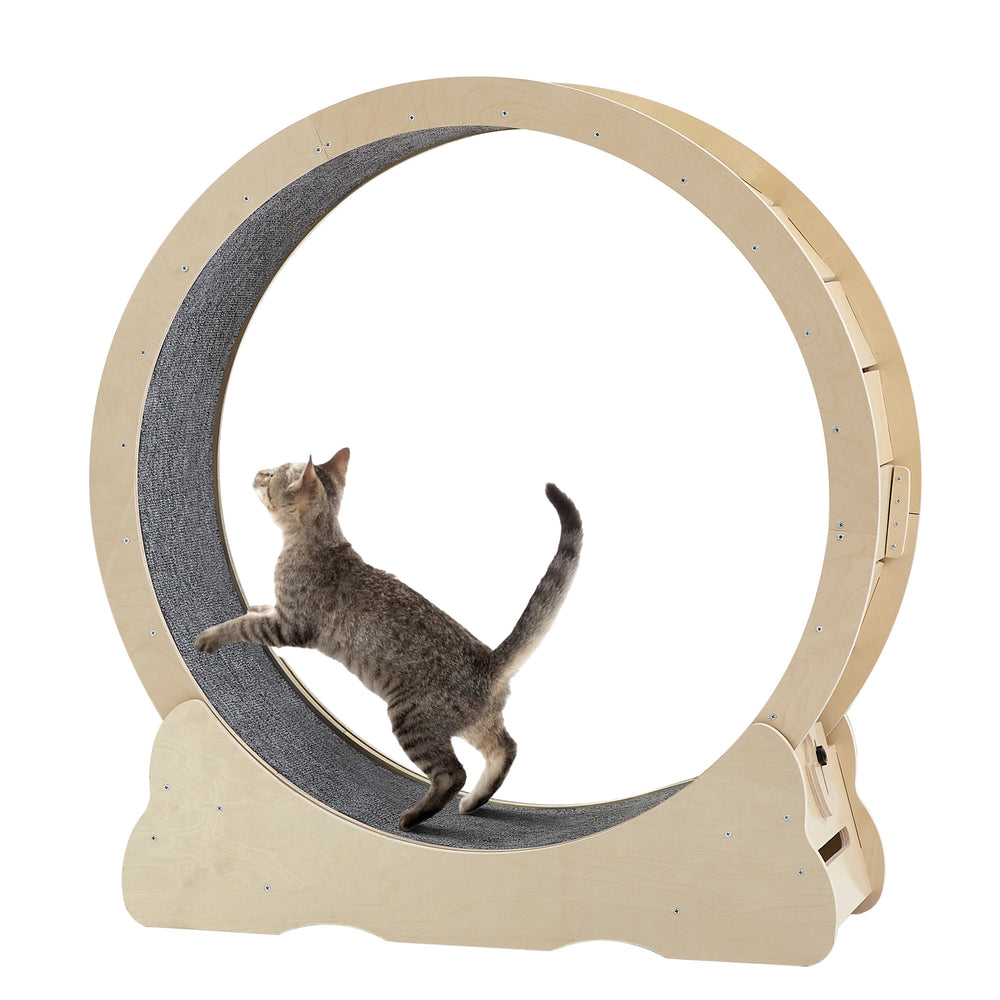 Happy Paws Cat Treadmill - Fun & Safe Indoor Exercise Wheel for Active Cats