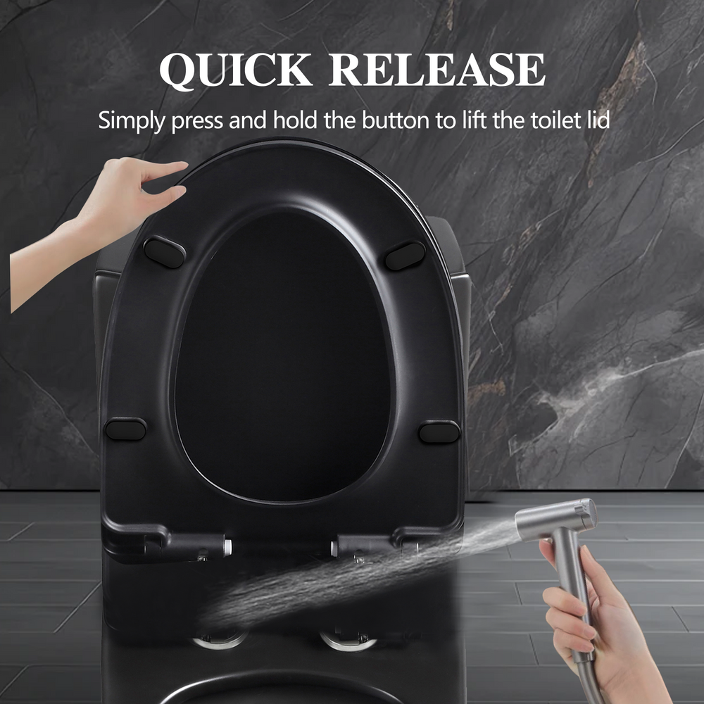 Matte Black Dual-Flush Comfort Toilet