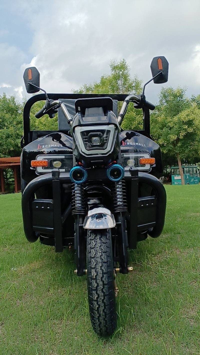 E-Z Ride Electric Trike