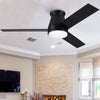 Sleek Black Ceiling Fan with Light