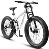 Adventure Ready Fat Tire Mountain Bike