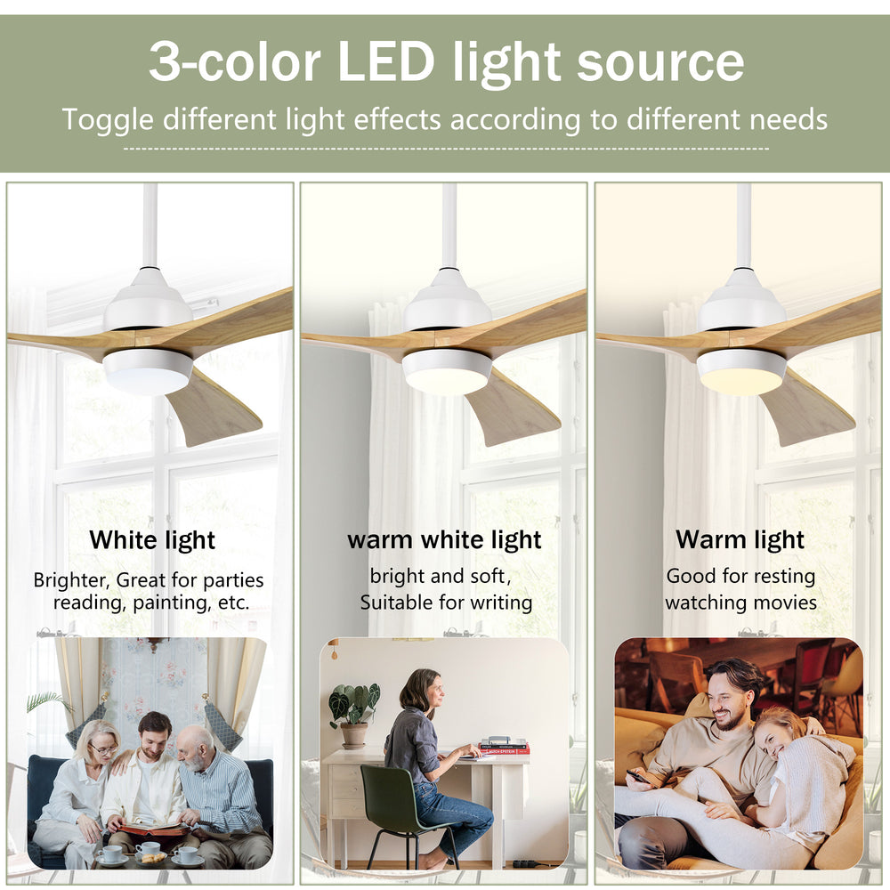 Cozy Breeze Ceiling Fan with Lights & Remote