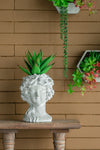 Stylish Concrete Face Planter