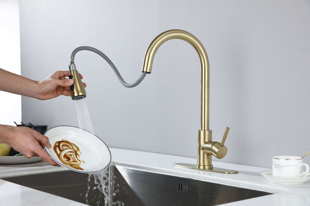 Spray & Shine Kitchen Faucet