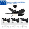 Sleek Matte Black LED Ceiling Fan