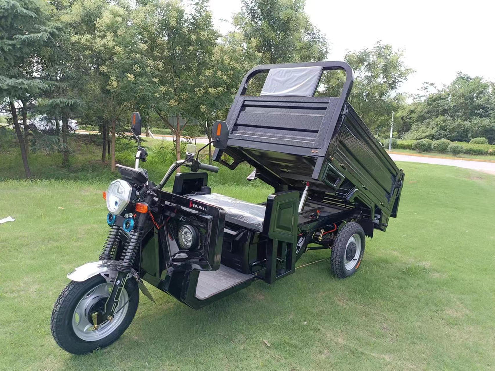 Hydraulic Lift Electric Trike