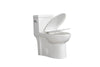 Eco-Friendly Comfort Toilet