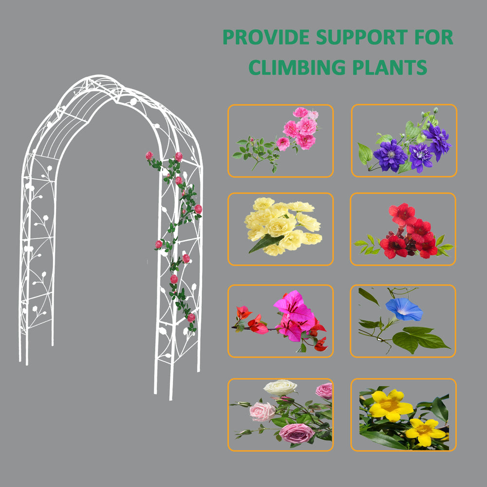 Charming Garden Arch for Climbing Plants & Celebrations