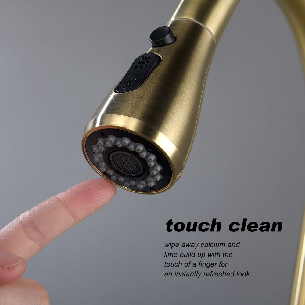 Spray & Shine Kitchen Faucet