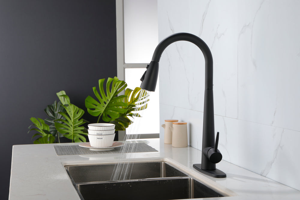 Matte Black Pull Down Kitchen Faucet