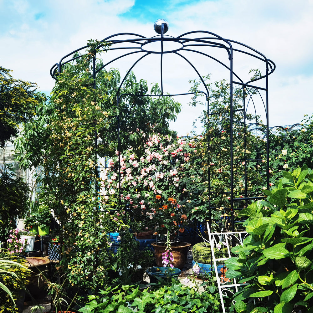 Chic Black Garden Arch for Celebrations