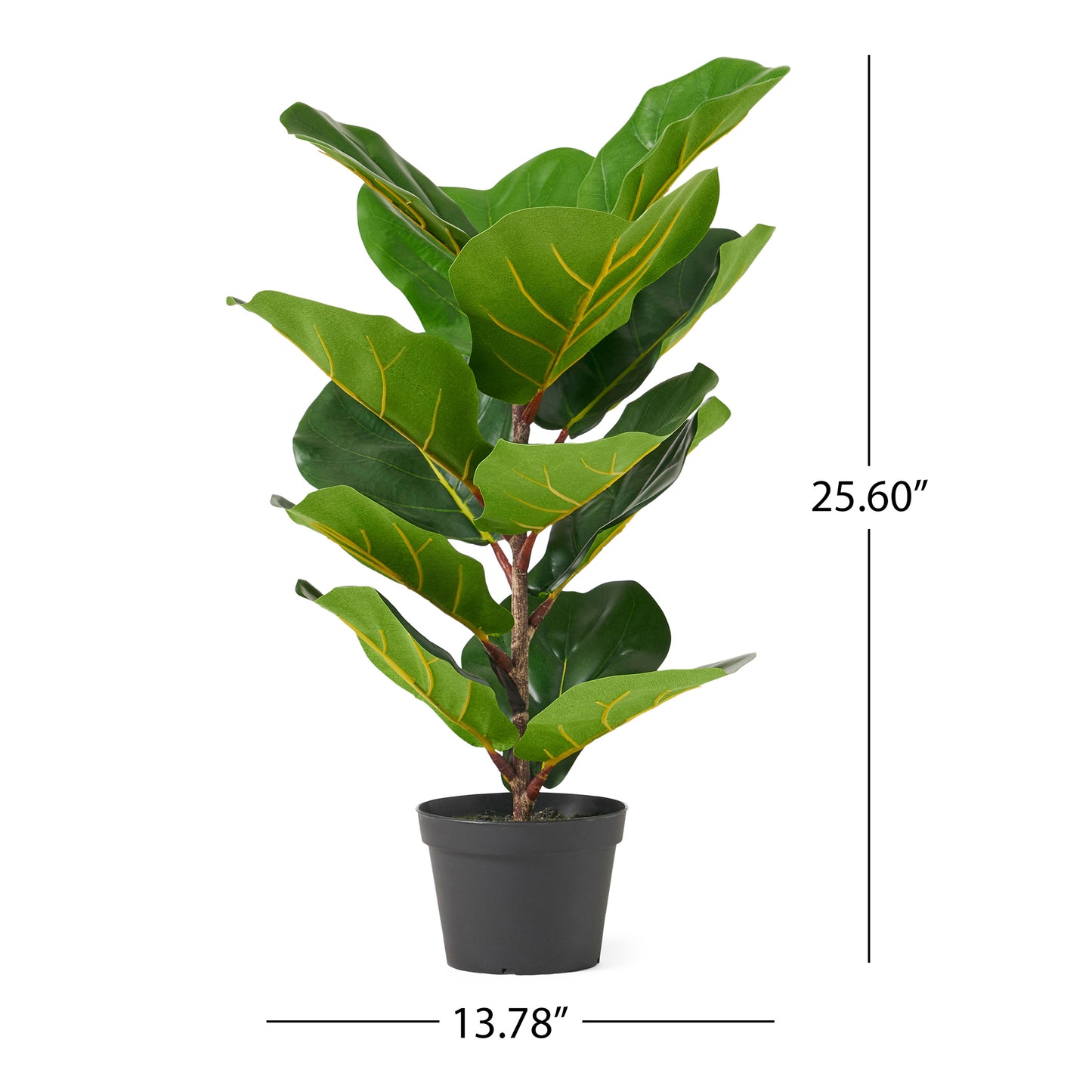 Lush Fiddle Leaf Fig Tree