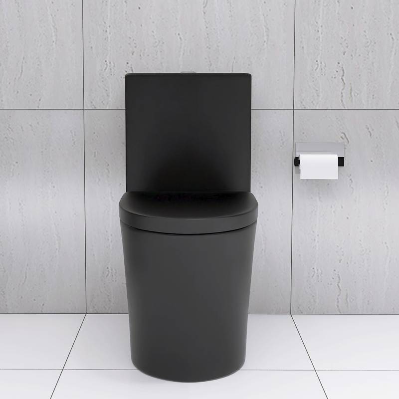 Sleek Black Eco-Friendly Toilet