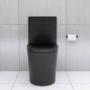 Sleek Black Eco-Friendly Toilet