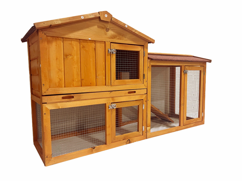 Playground Chicken Coop Adventure