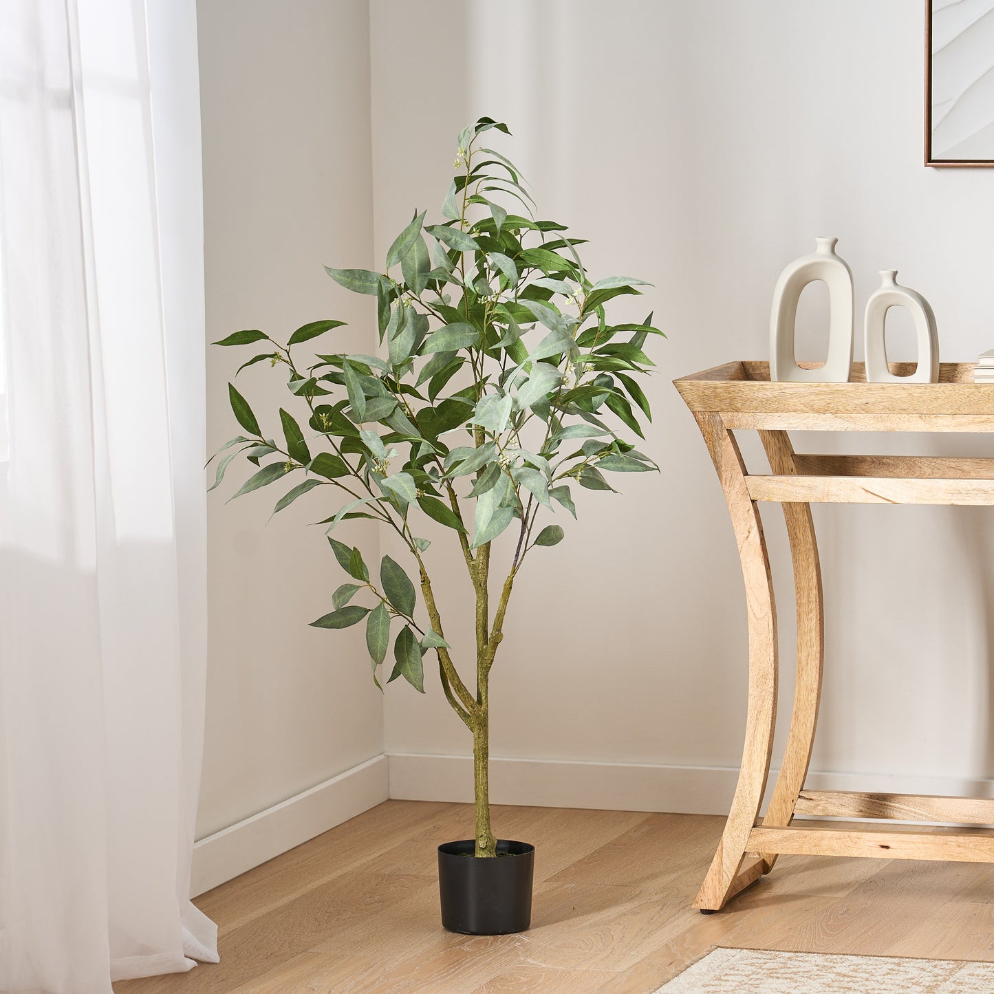 Lush Eucalyptus Bonsai Plant