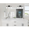 Chic Black 3-Light Vanity Lamp with Clear Glass Shades