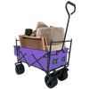 Adventure Wagon: The Ultimate Portable Kids' Trolley